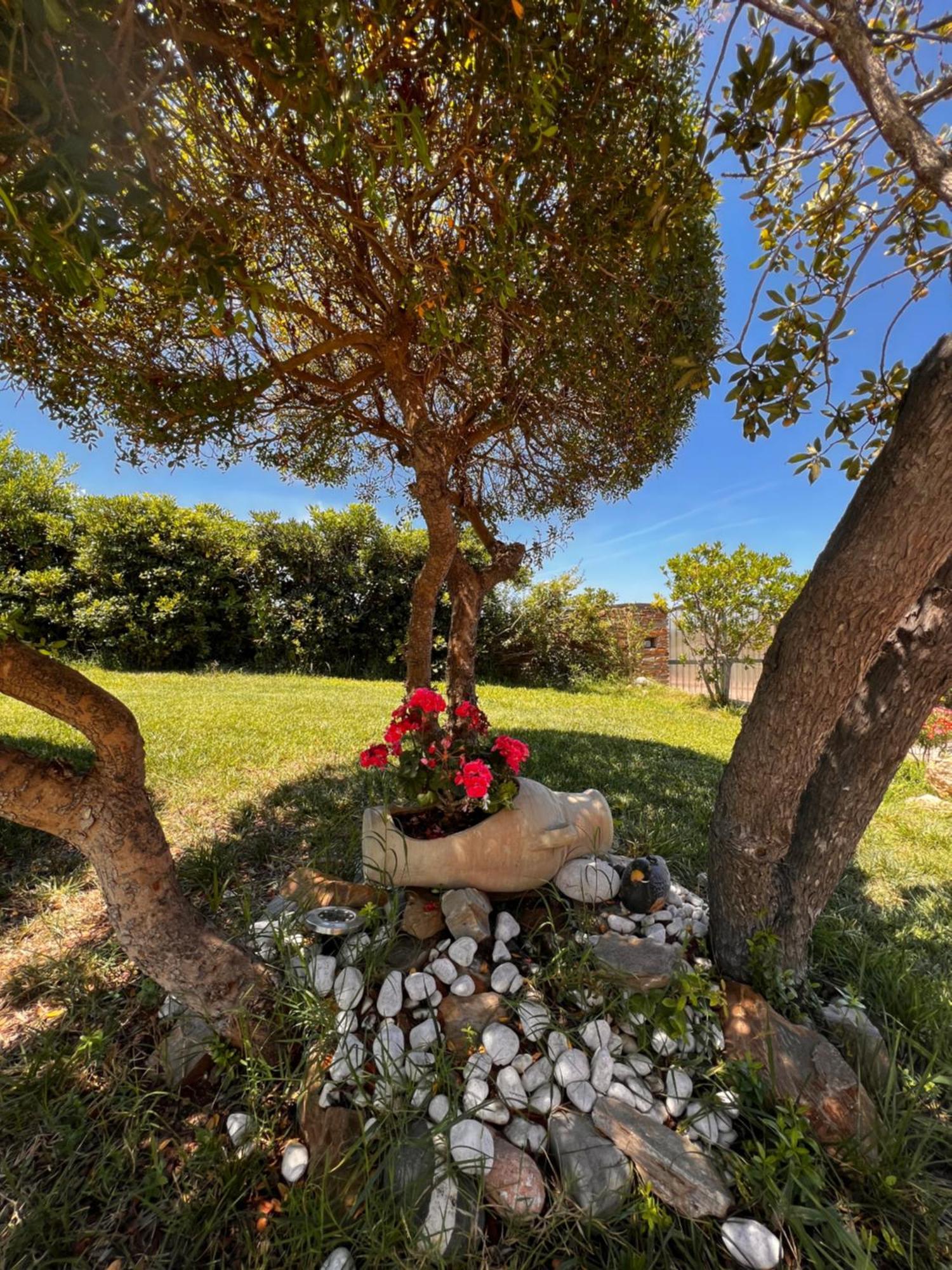 Villa Patrizia Стинтино Екстериор снимка